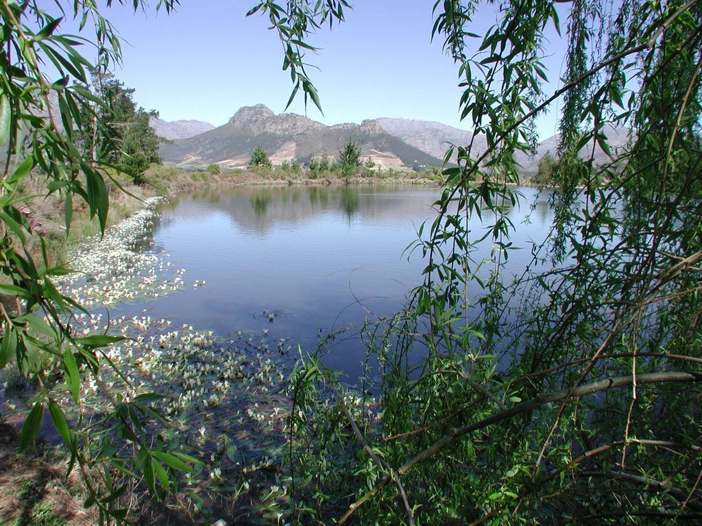 La Verdure Fruit Farm Franschhoek Szoba fotó